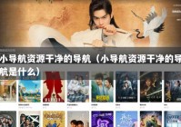 小导航资源干净的导航（小导航资源干净的导航是什么）