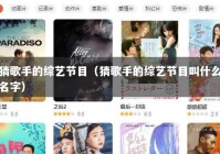 猜歌手的综艺节目（猜歌手的综艺节目叫什么名字）