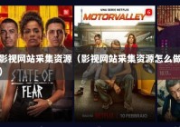 影视网站采集资源（影视网站采集资源怎么做）