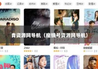 青资源网导航（魔镜号资源网导航）