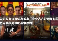 公司人力资源信息采集（企业人力资源规划信息采集和处理的基本原则）