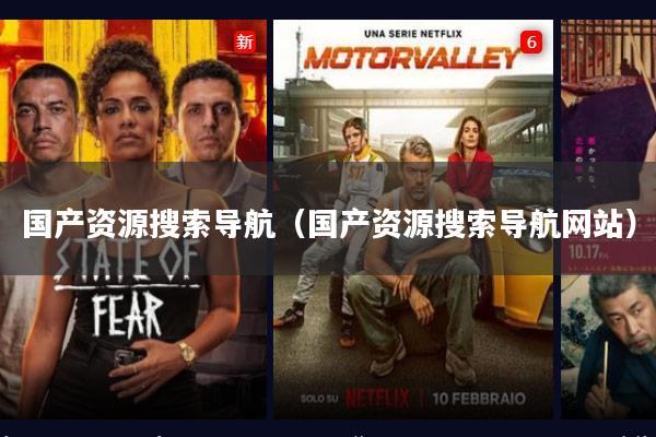 国产资源搜索导航(国产资源搜索导航网站)