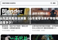 山东盗采集体资源案（山东省非法采矿举报电话是多少）