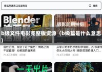 b级文件电影完整版资源（b级篇是什么意思）
